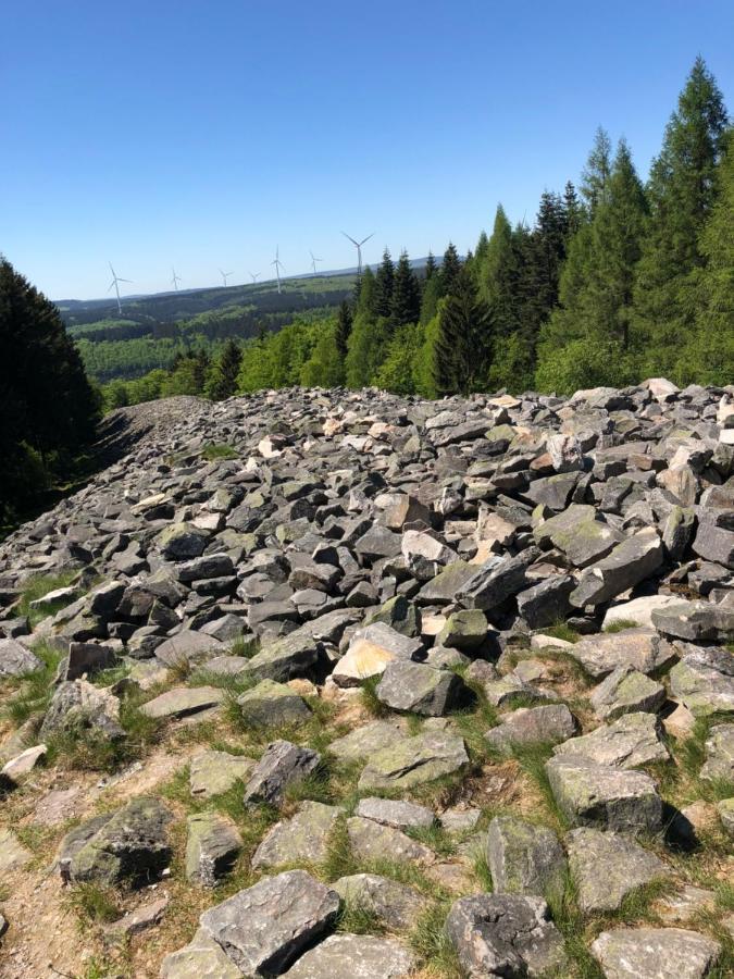 Ferienhaus Traumzeit Neuhutten  エクステリア 写真